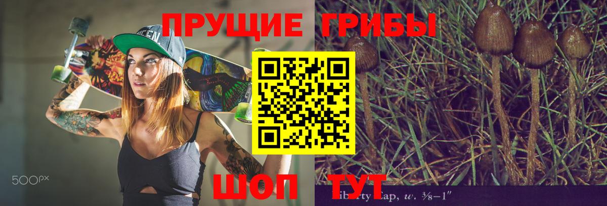 Галлюциногенные грибы прущие грибы  Галлюциногенные грибы ЛСД  Вход с VPN  Аша 